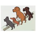 サヴィニャック 環境保護キャンペーン 1975年 4匹の犬 フランス 製 ポストカード グリーティングカード 絵はがき アンティーク調