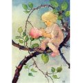 ミリ・ウェーバー バラの妖精 スイス 製 ポストカード グリーティングカード 絵はがき アンティーク調 花 バラ