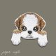 狆 （ちん)  刺繍 アイロン ワッペン 茶狆 アップリケ 犬 子犬