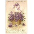 トゥールーズ(ヴィオレット) すみれ ポストカード フランス 製 la maison de la violette グリーティングカード 絵はがき 