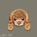 トイプードル 刺繍 アイロン ワッペン アップリケ 犬 子犬