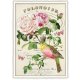 ホワイトピンクのピオニー と 小鳥 ドイツ 製 ポストカード ルリビタキ マヒワ 鳥 ラメ グリーティングカード 絵はがき