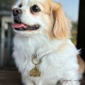 真鍮 ドッグハウスチャーム DOGS FOR PEACE / ドッグスフォーピー キーホルダー ブラスキーホルダー 犬 ドッグ