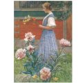 夏花と乙女 カール・ラーション Carl Larsson ポストカード ドイツ 製 グリーティングカード 絵はがき  アンティーク調