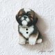 お座り シーズー  犬 フランス 製 木製ボタン アトリエ ボヌール ドゥ ジュール 子犬