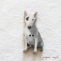 お座り ブルテリア  犬 フランス 製 木製ボタン アトリエ ボヌール ドゥ ジュール 子犬