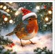 クリスマス  赤い帽子のコマドリ グリーティングカード イギリス 製  ポストカード クリスマスカード ヨーロッパコマドリ