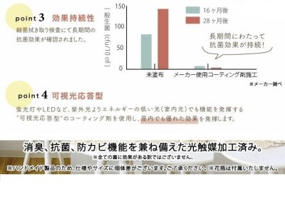 画像2: ペペロミア 光触媒加工 インテリアグリーン