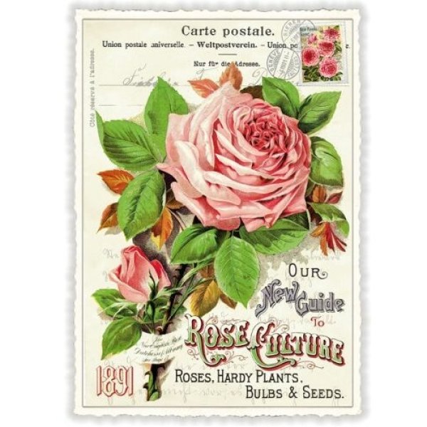 画像1: ローズ 薔薇 ドイツ 製 フラワー ポストカード ラメ グリーティングカード 絵はがき アンティーク調 バラ (1)